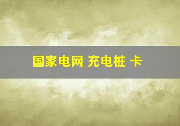 国家电网 充电桩 卡